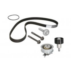 Triger Seti 2 Bilya+1 Kayiş Passat 18-1.5 Tsi Golf Tiguan 04E198119F CT1167K7